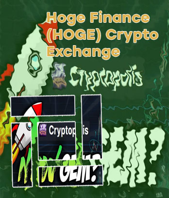 Hoge price crypto