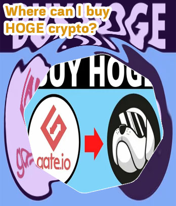 Where can you buy hoge crypto